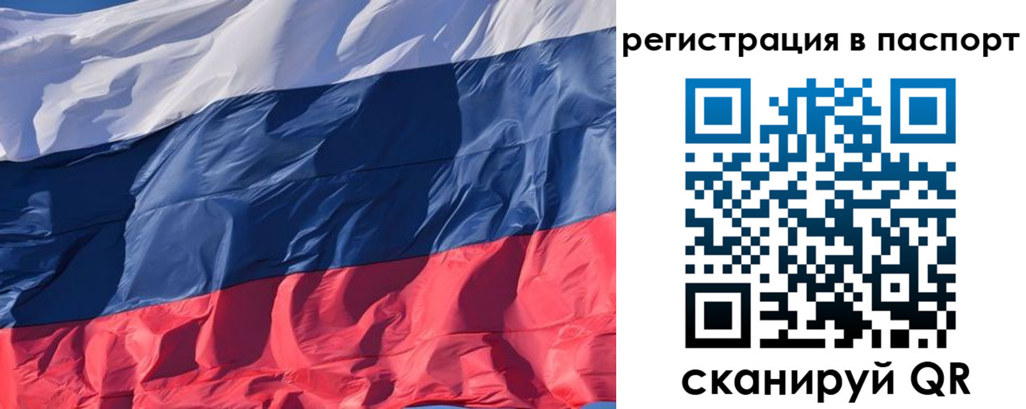 где прописаться в Тосно